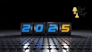 RapidHomeDirect8.com Your Complete 2025 Review